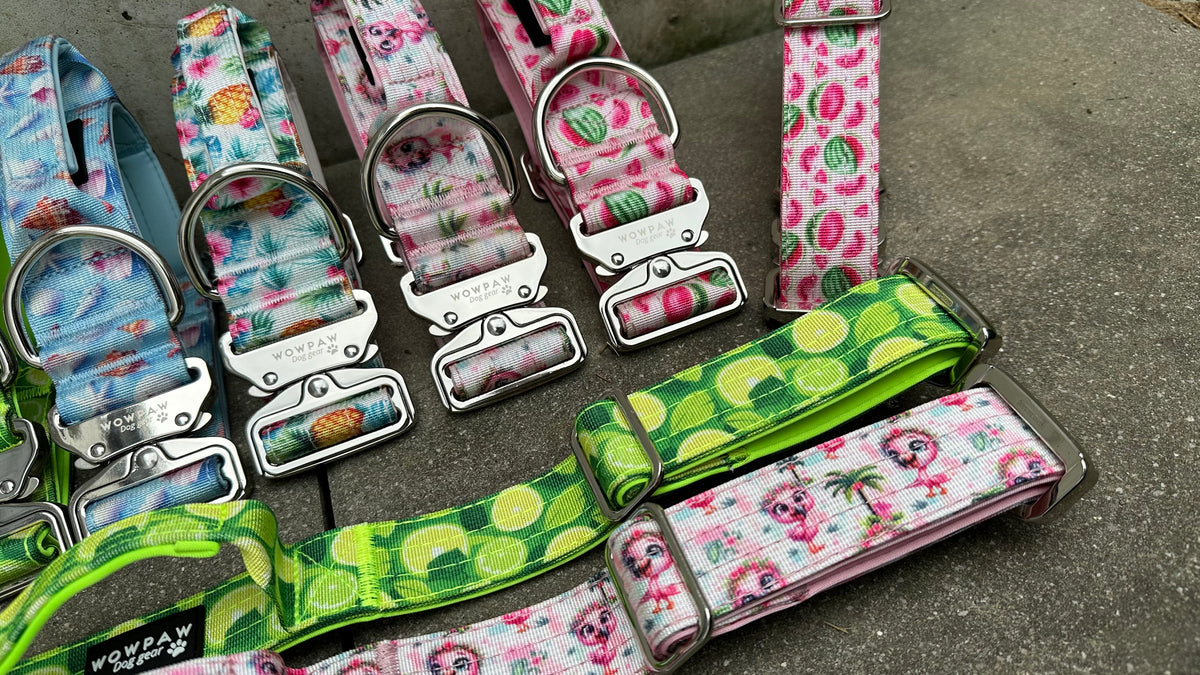 Hochwertiges taktisches Hundehalsband FLAMINGOS LIMITIERT Größe M Breite 3,8cm