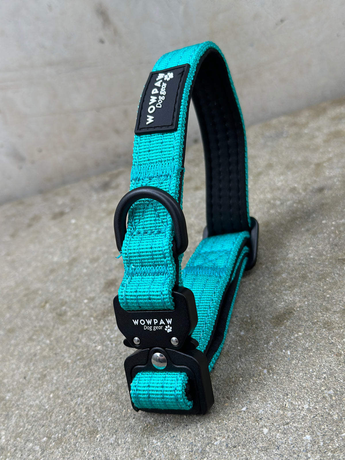 Taktisches Hundehalsband ULTRA LIGHT Türkis XXS