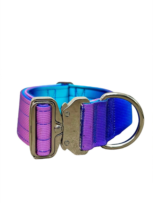 Collare tattico per cani di alta qualità viola-blu taglia M