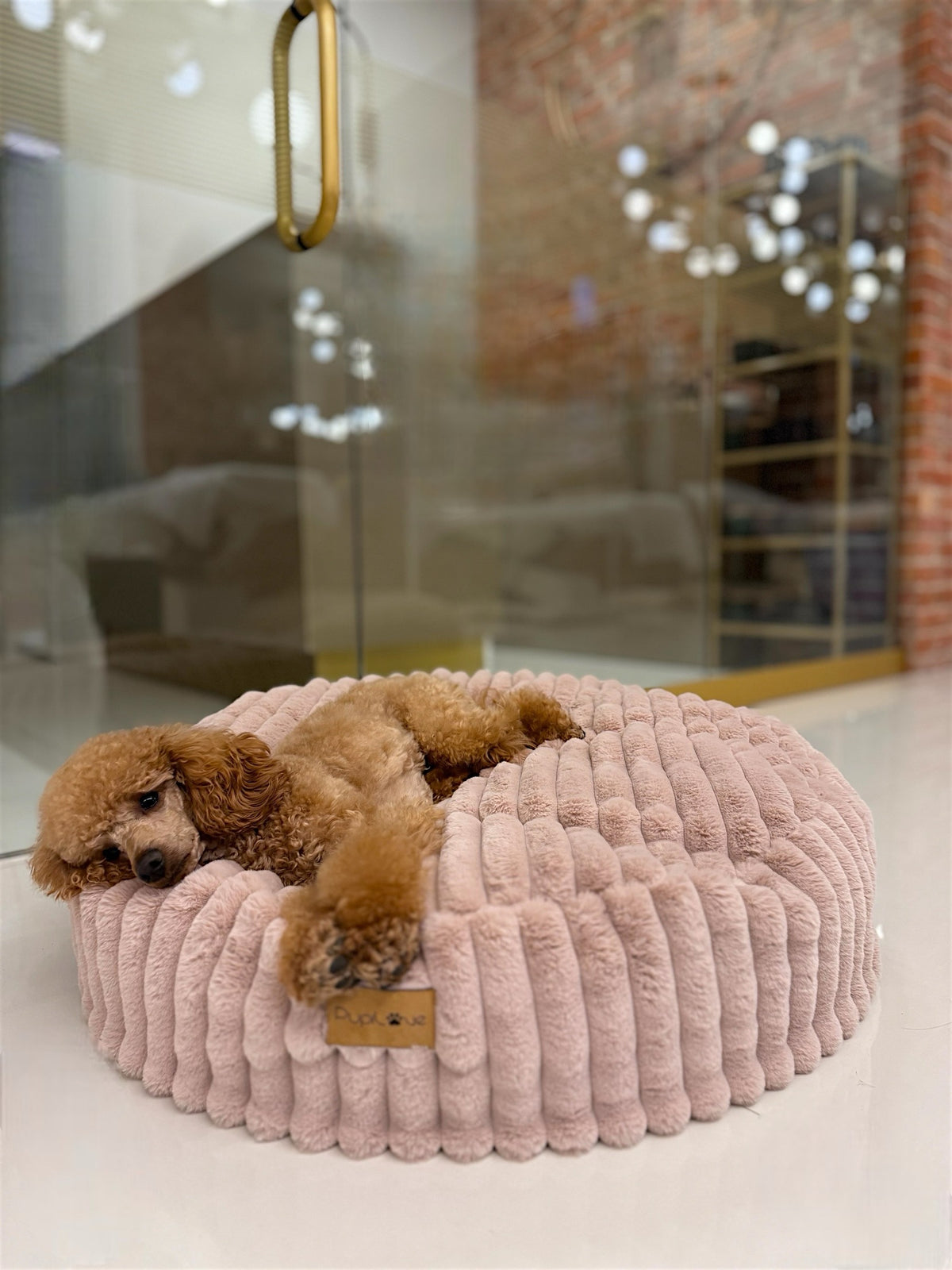 Hundedecke Rabbit Candy