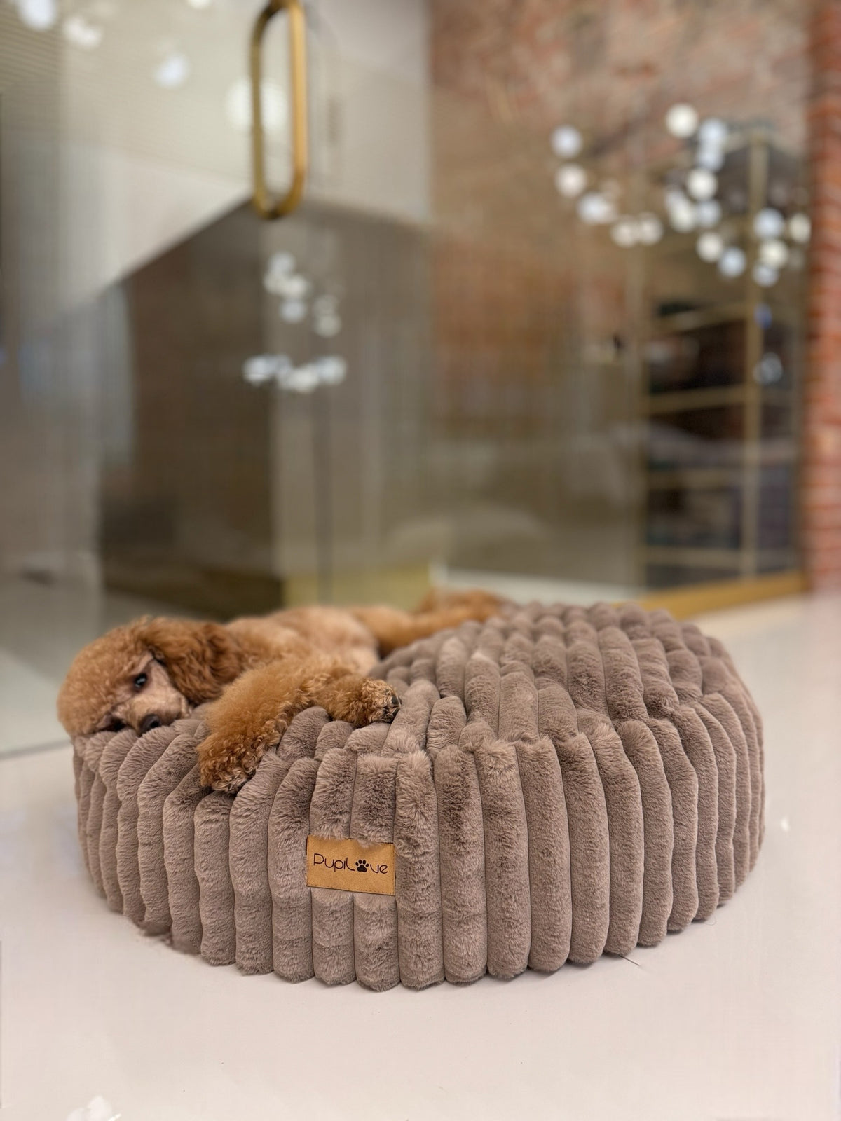 Hundedecke Rabbit Monte