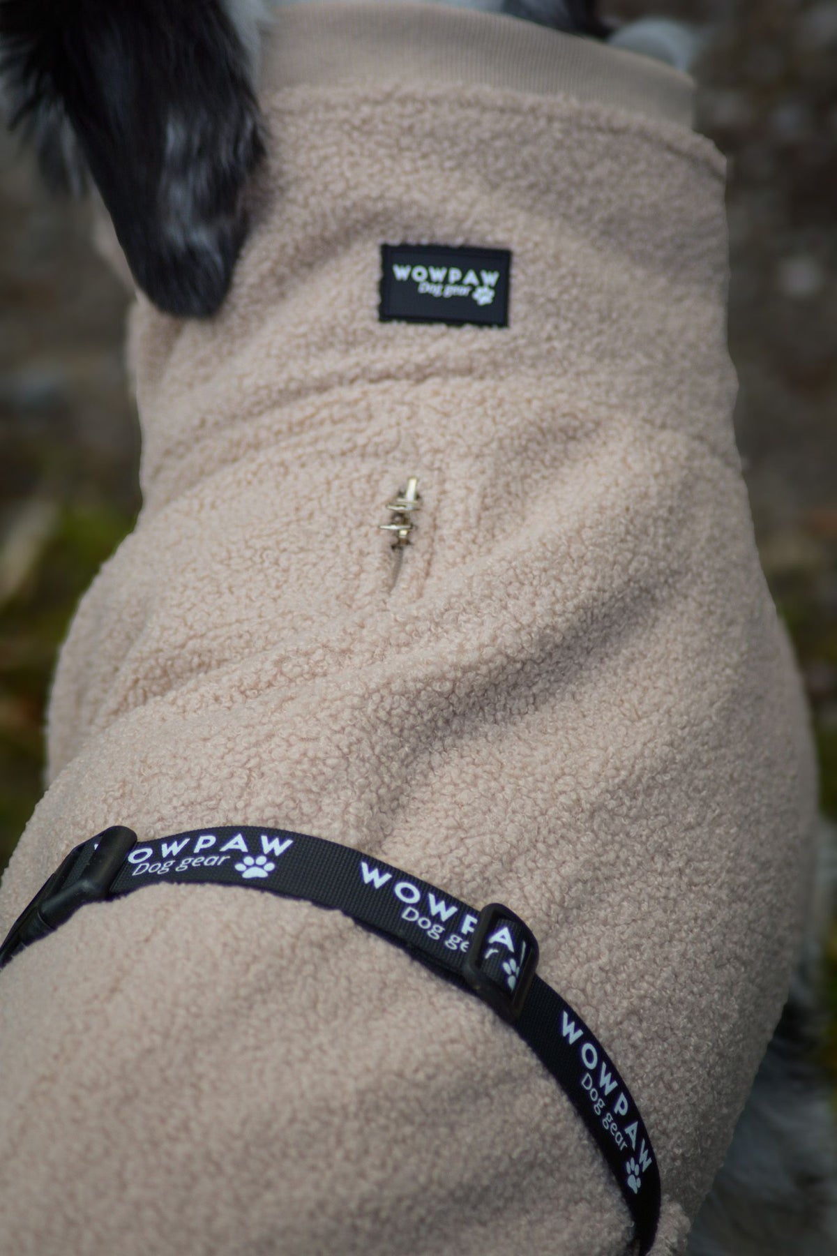 Wowpaw Hundepullover Beige