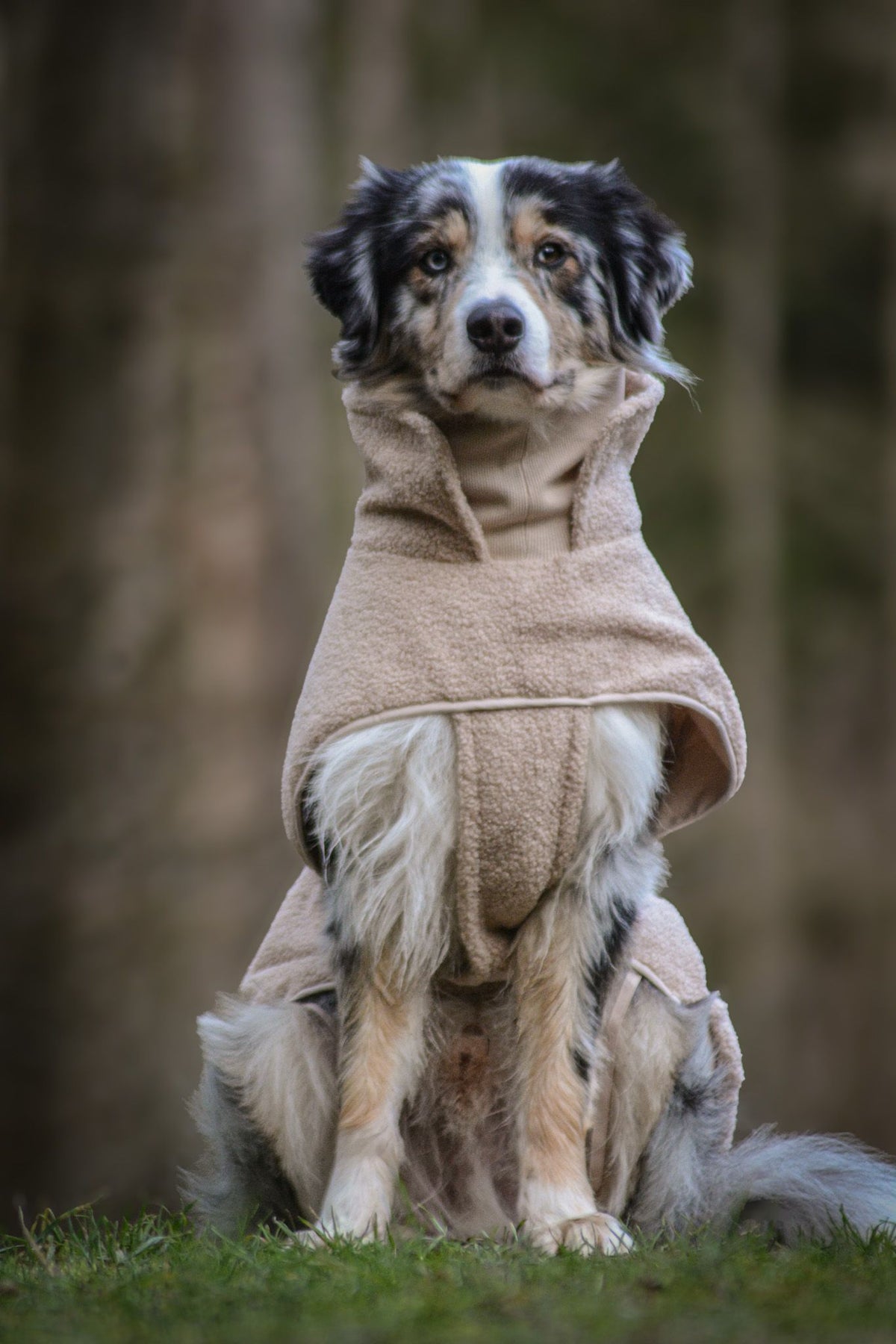 Wowpaw Hundepullover Beige