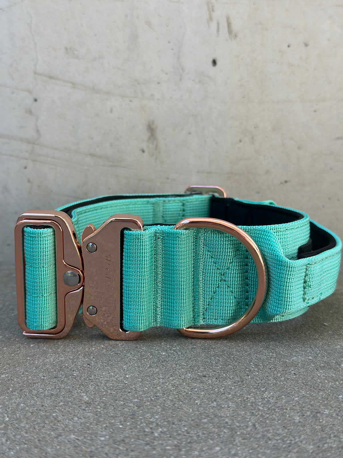 Hochwertiges taktisches Hundehalsband Mint X Rosegold Größe M