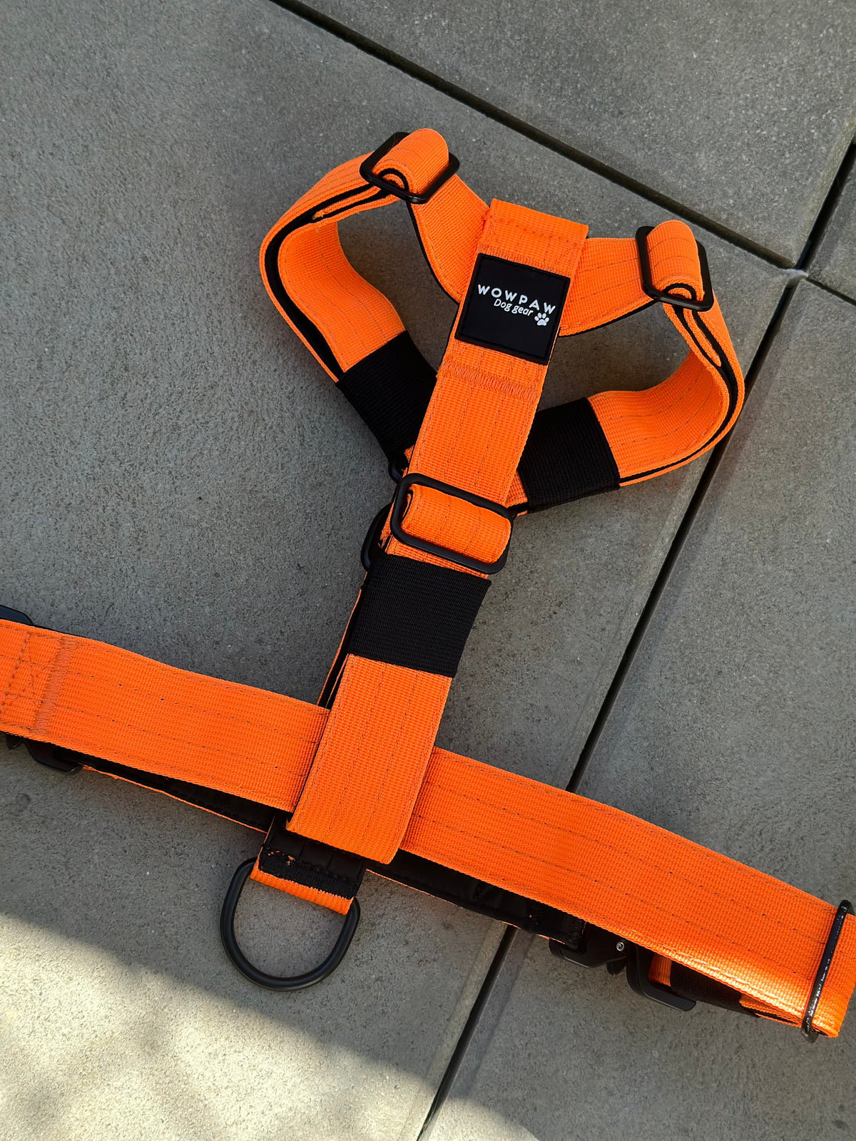 Hochwertiges Hundegeschirr S Neonorange