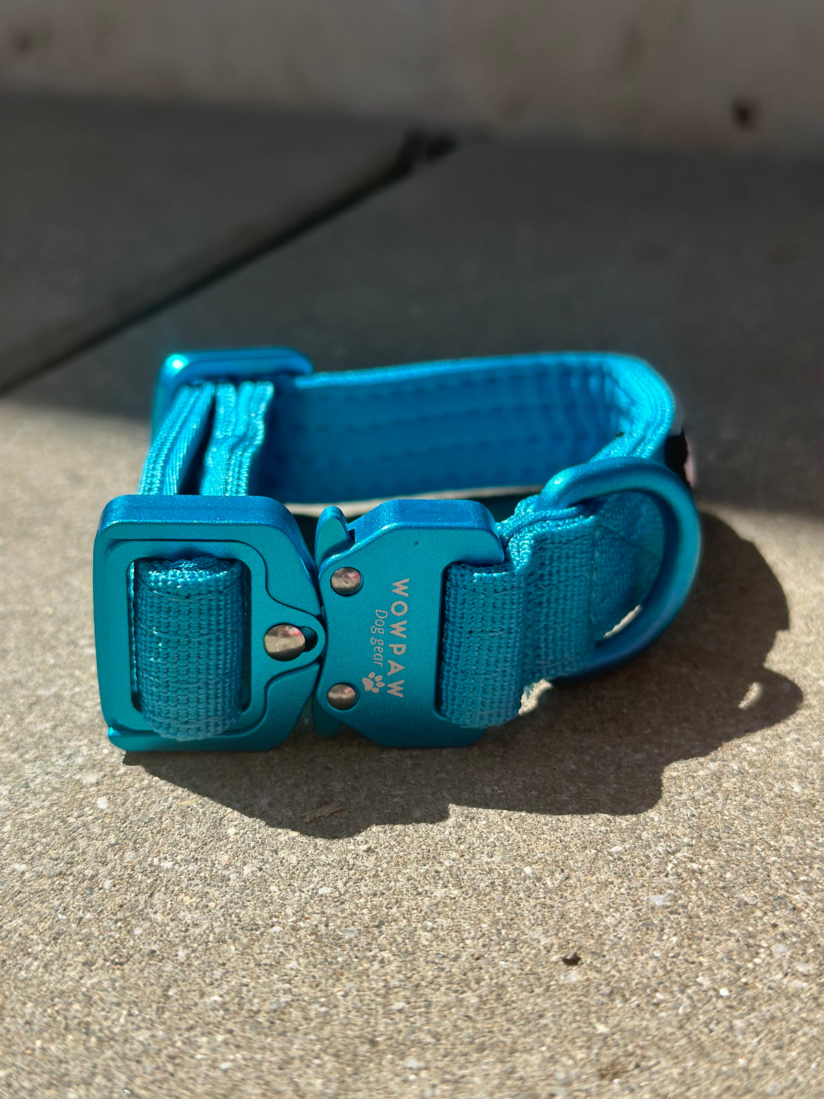 Taktisches Hundehalsband ULTRA LIGHT Hellblau Edition XXS