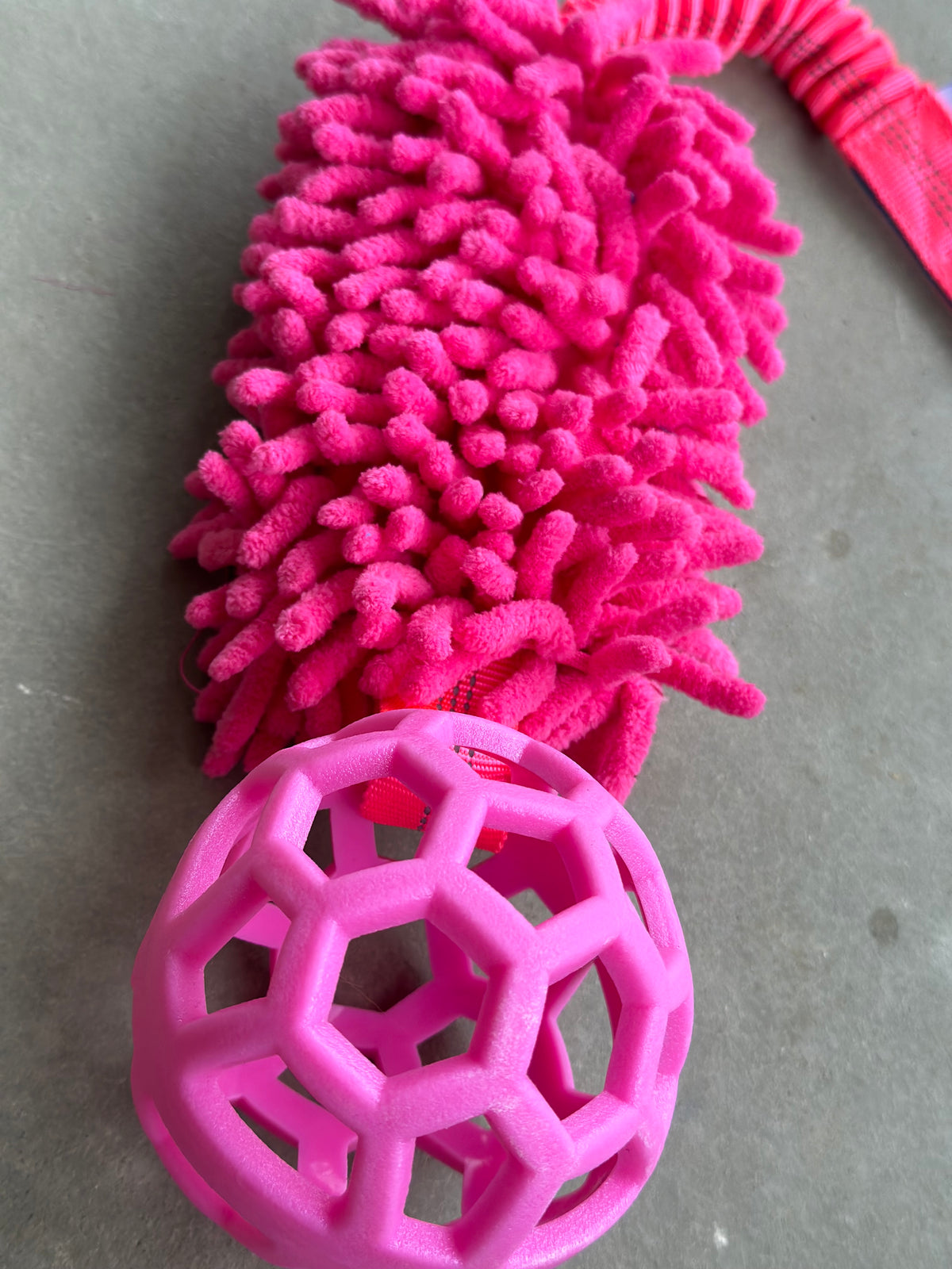 Bungee Zergel mit Ball Pink , Blau & Orange