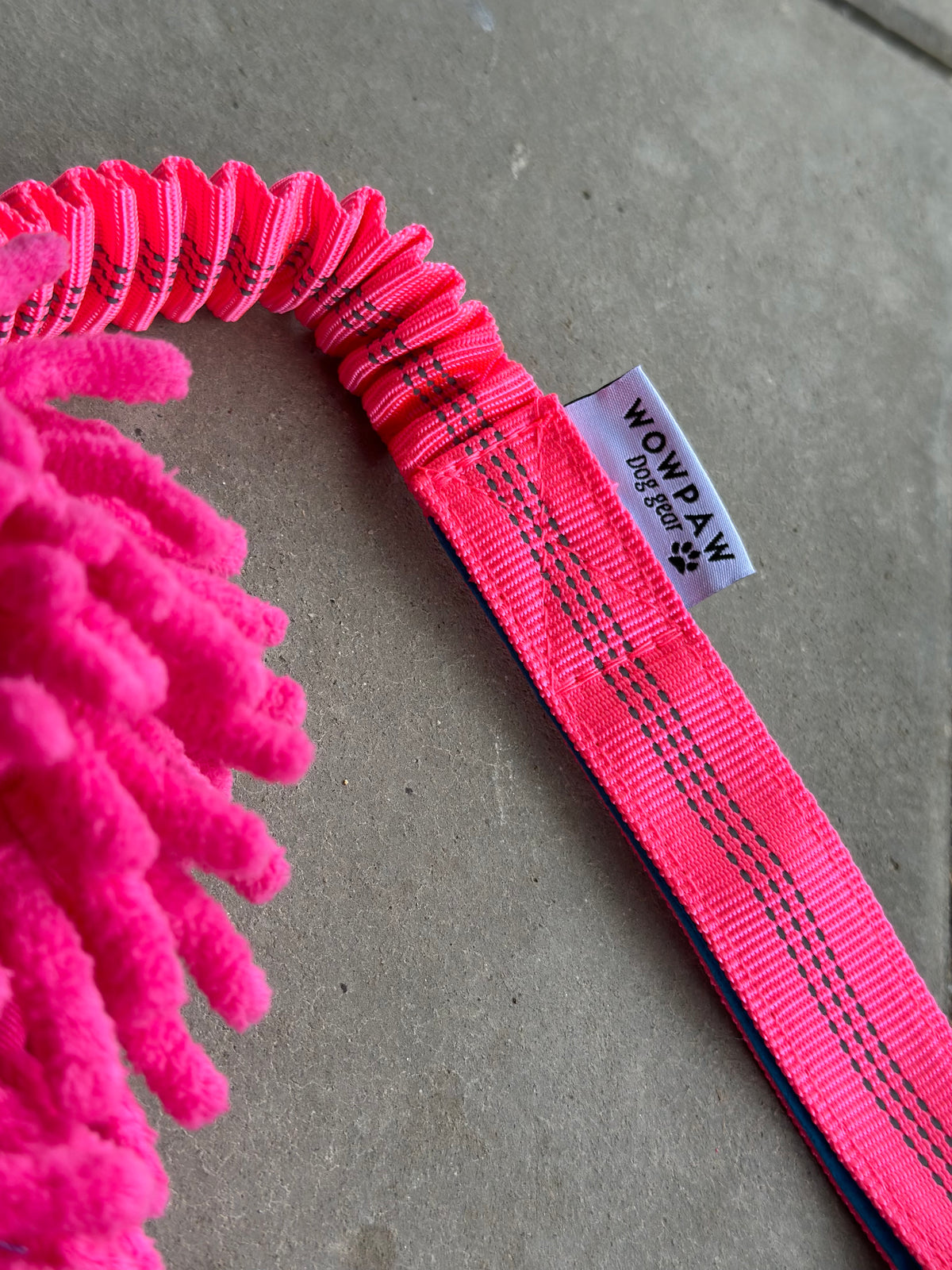 Bungee Zergel mit Ball Pink , Blau & Orange