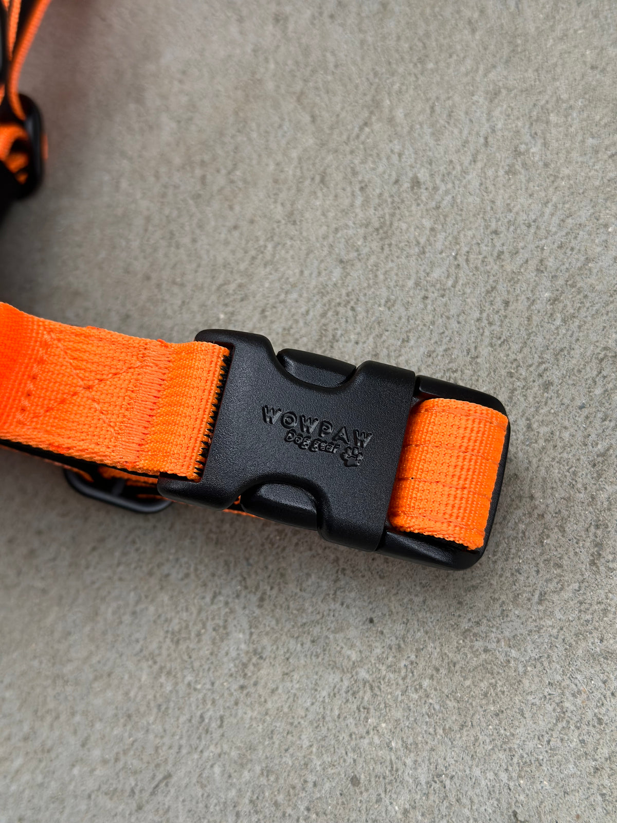Hochwertiges Hundegeschirr XS Neonorange