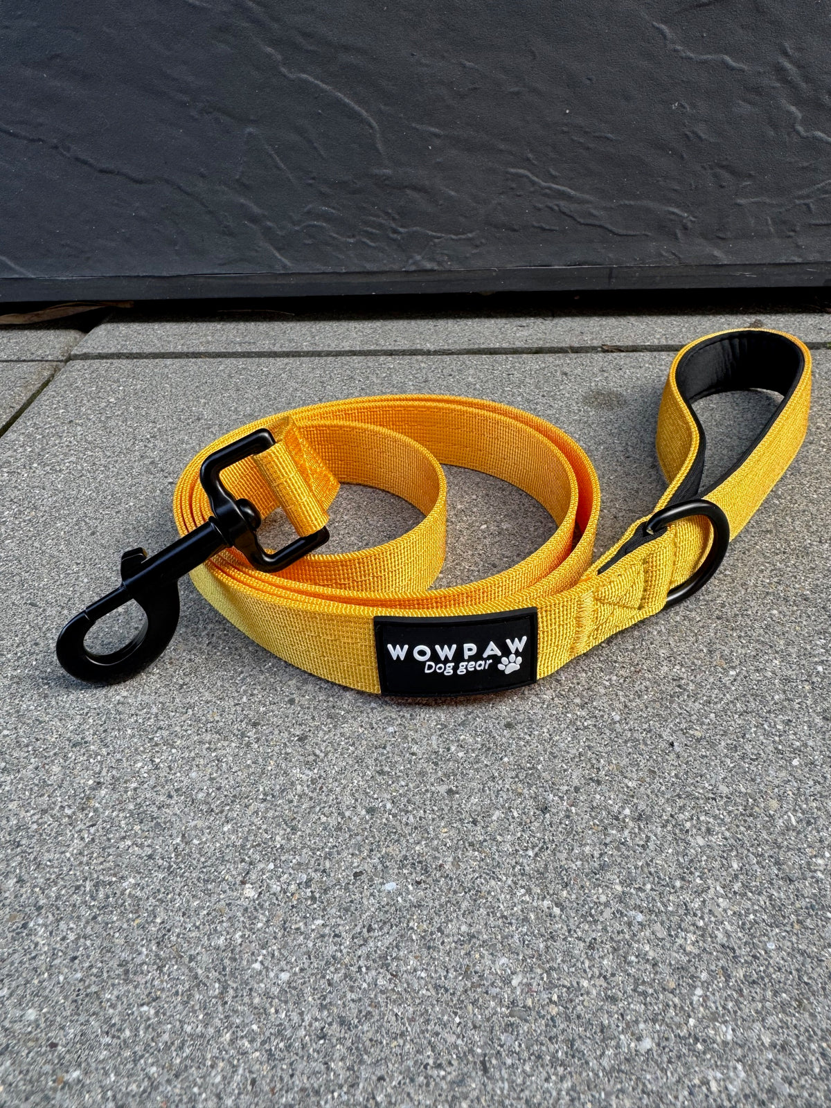 Guinzaglio standard per cani M, lunghezza 1,5m, giallo