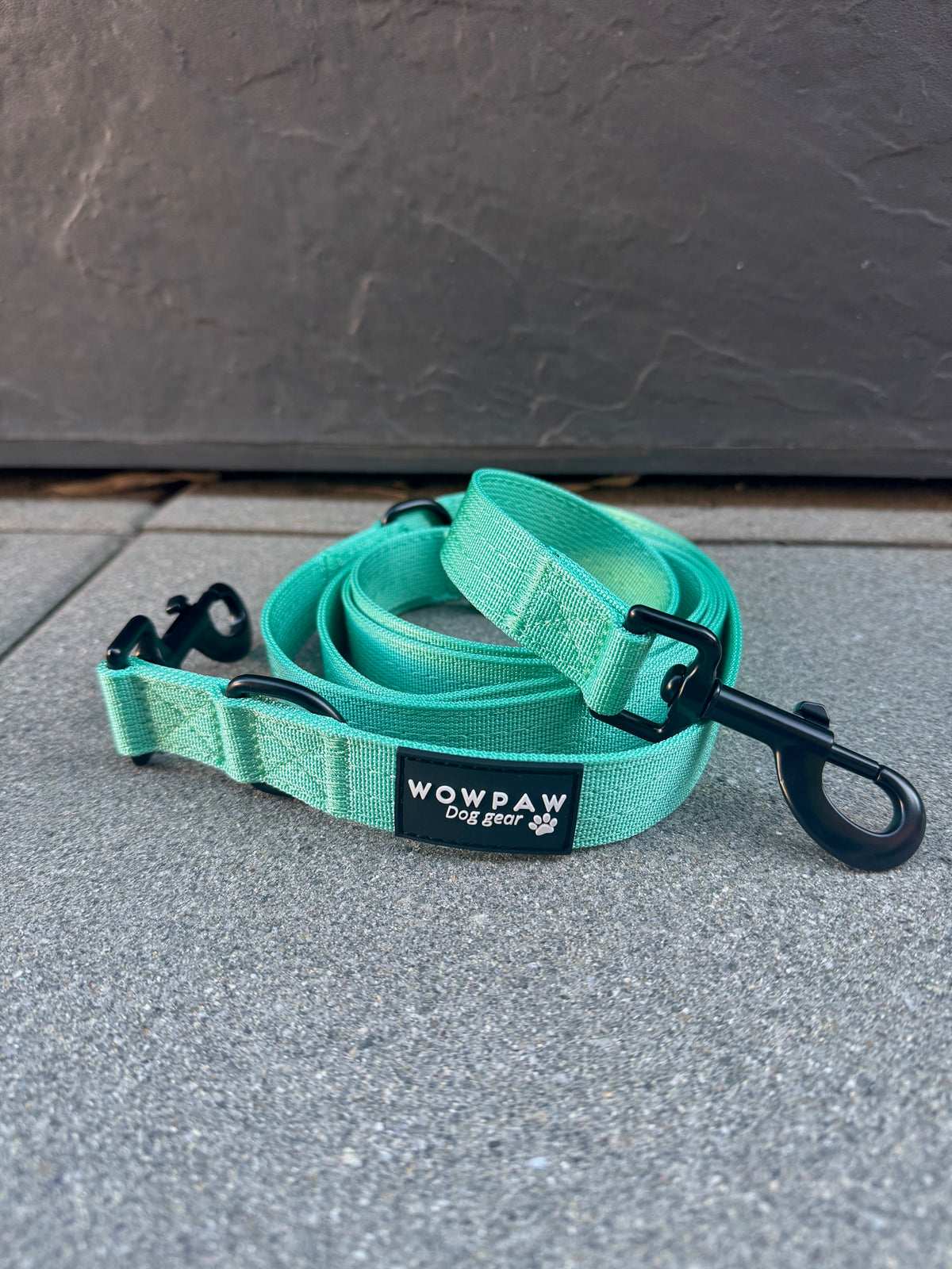 Guinzaglio standard per cani S regolabile, lunghezza 2m, menta