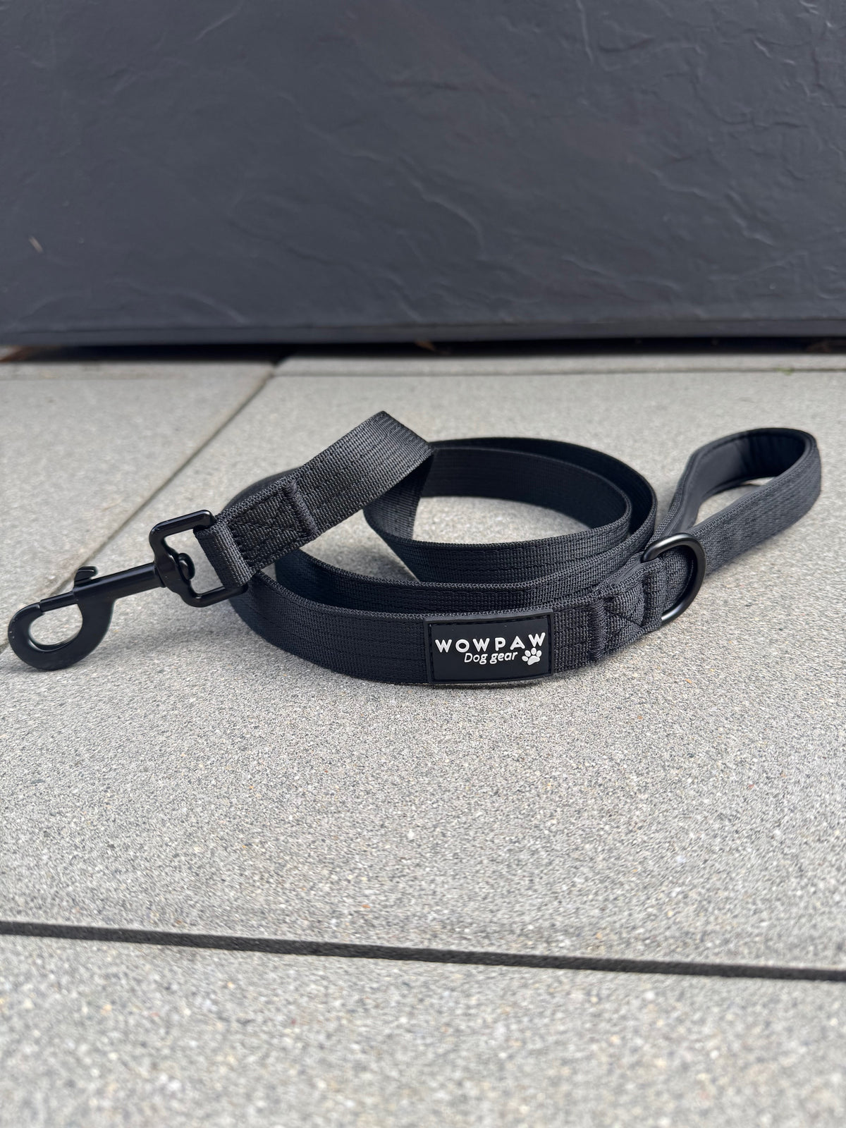 Guinzaglio standard per cani M, lunghezza 1,5m, nero