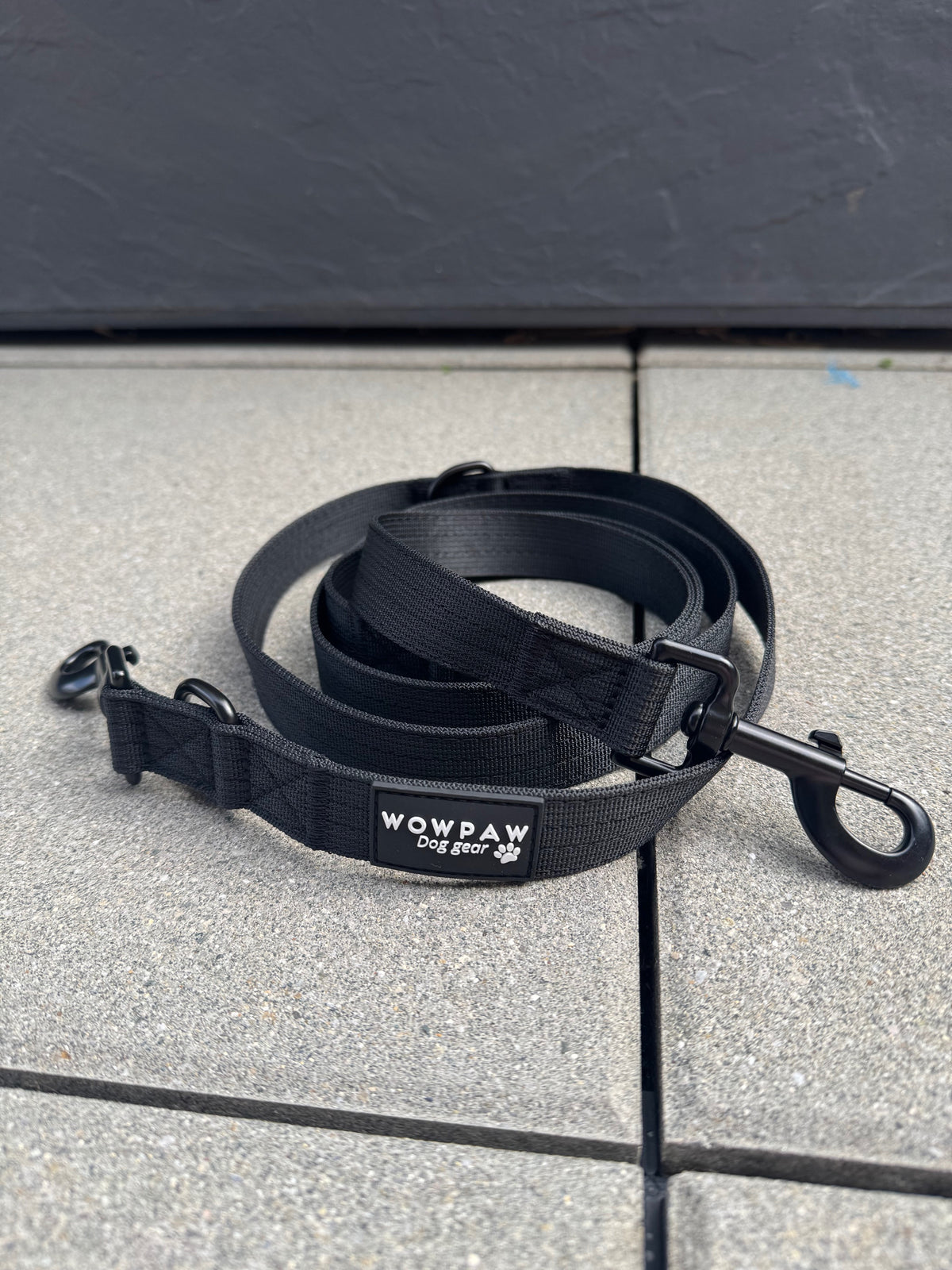 Guinzaglio standard per cani M regolabile, lunghezza 2m, nero