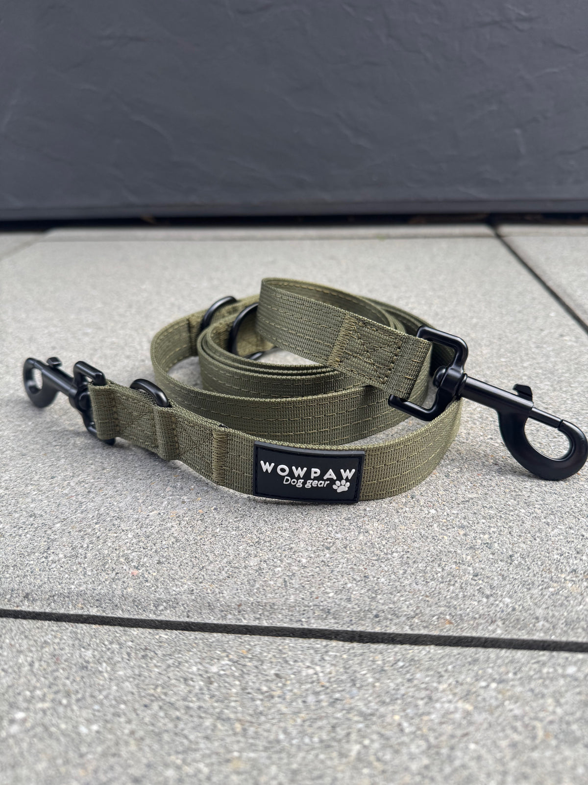 Guinzaglio standard per cani M regolabile, lunghezza 2m, verde militare