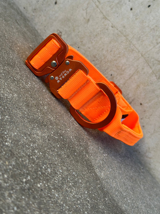Hochwertiges taktisches Hundehalsband 3,8cm ULTRA LIGHT Neonorange Edition Größe M