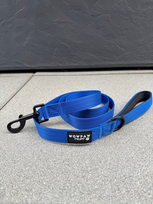 Standard Hundeleine M Länge 1,5m Blau