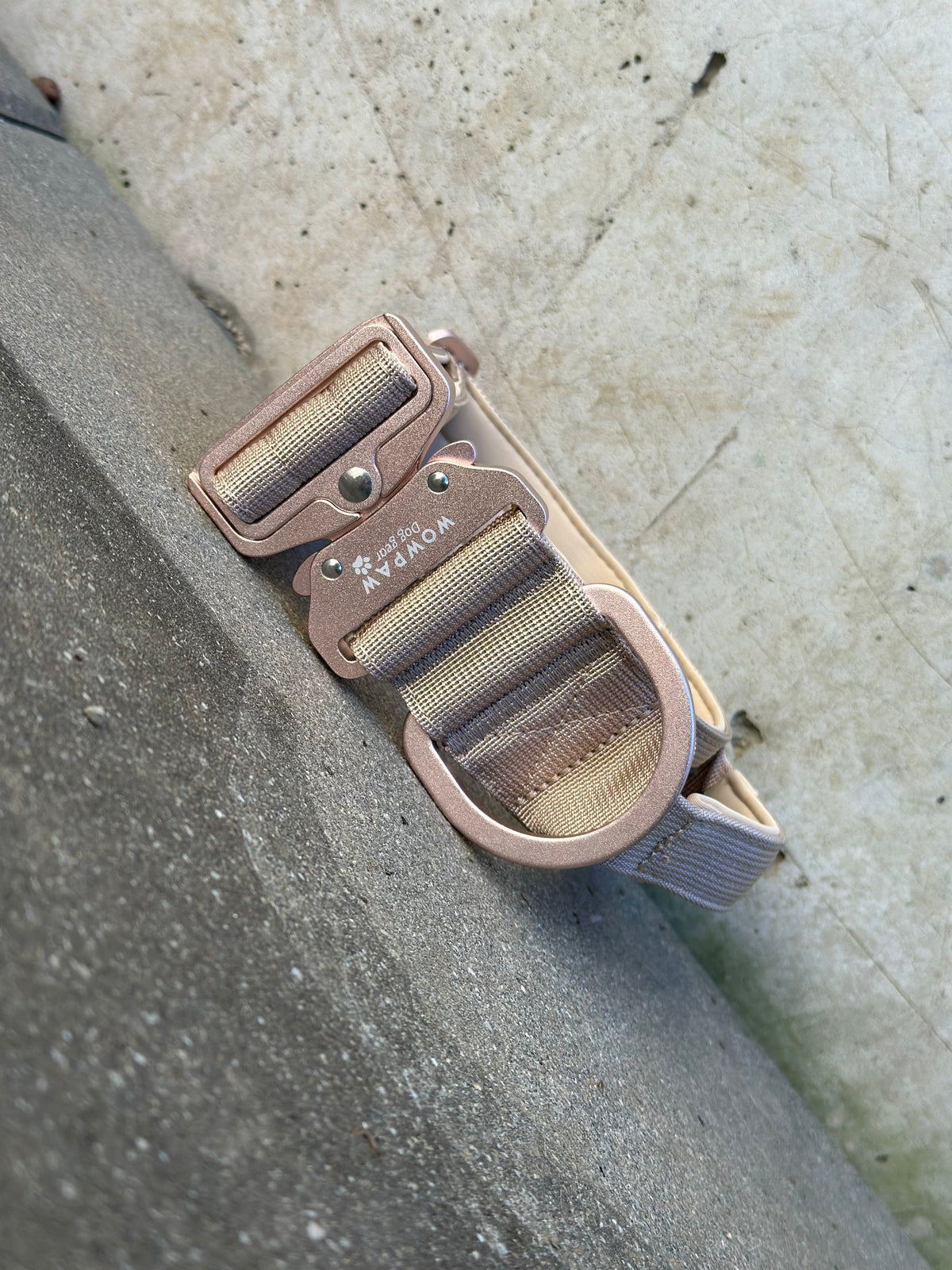 Hochwertiges taktisches Hundehalsband 5cm ULTRA LIGHT BEIGE Edition Größe  L