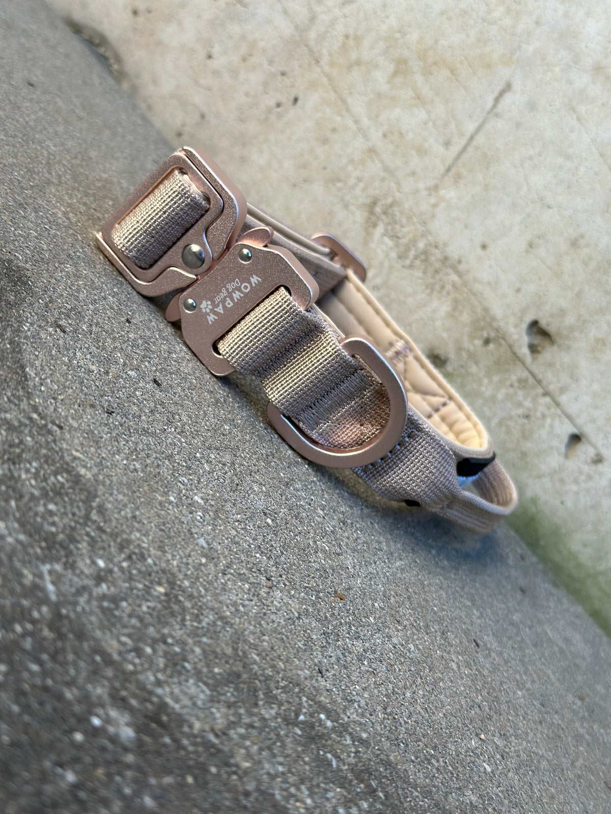 Collare tattico per cani di alta qualità XS 2,5cm Edizione Beige