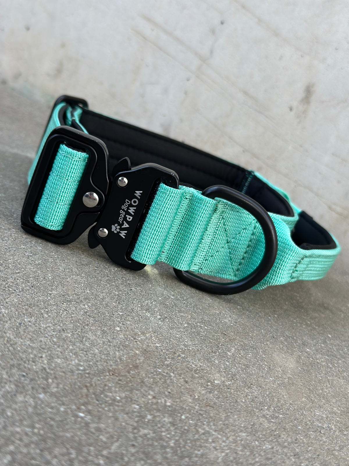 Hochwertiges taktisches Hundehalsband Mint Größe M Breite 3,8cm