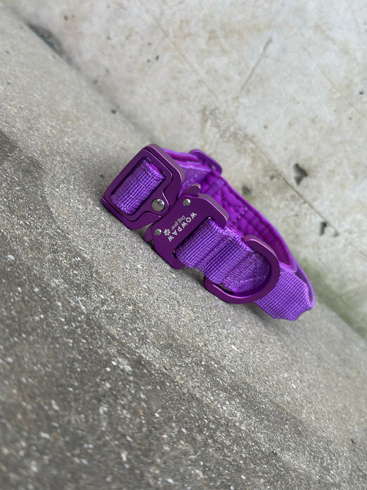 Collare tattico per cani di alta qualità XS 2,5cm Edizione viola scuro