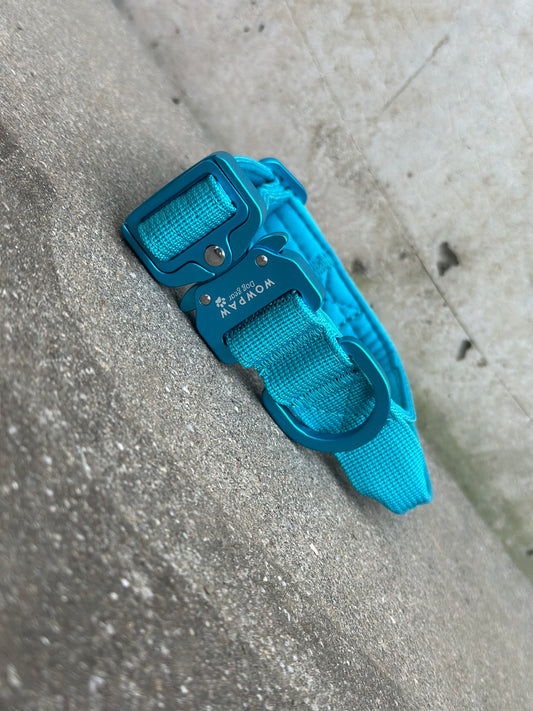 Collare tattico per cani di alta qualità XS 2,5cm Edizione blu