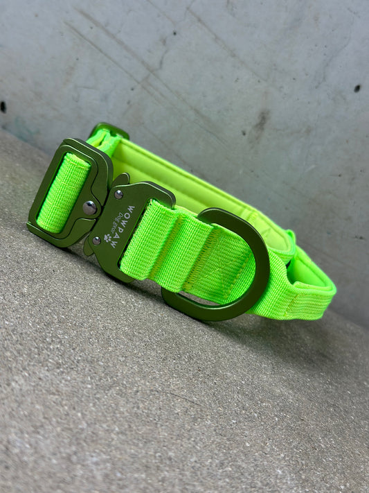 Taktisches Hundehalsband ULTRA LIGHT 3,8cm Neongrün Edition L