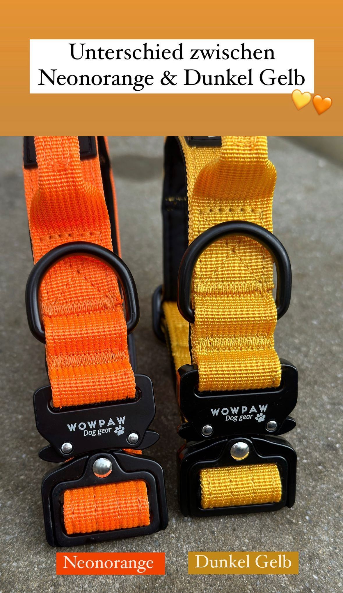 Collare tattico per cani di alta qualità XS 2,5cm giallo scuro