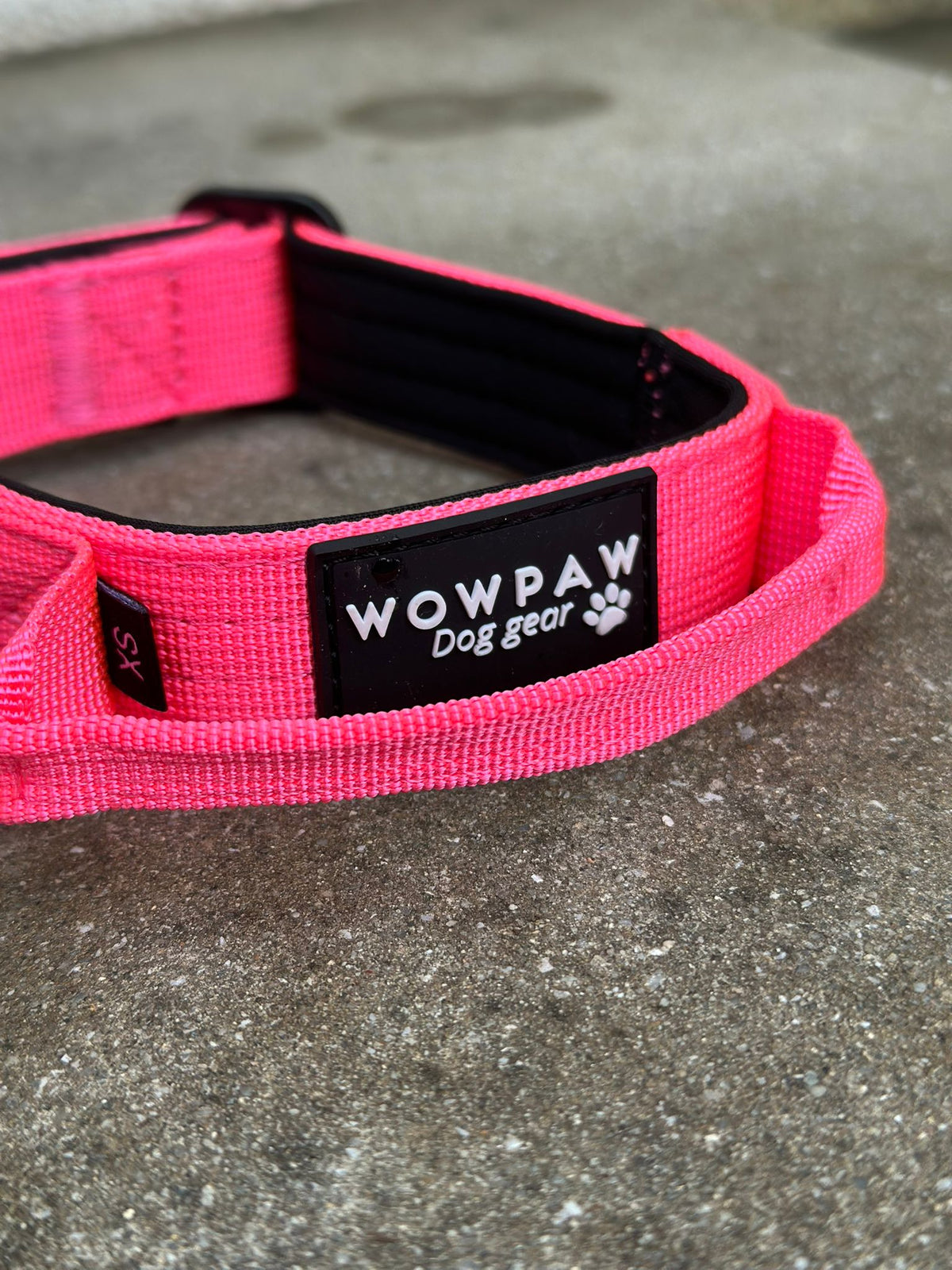 Collare tattico per cani di alta qualità XS 2,5cm rosa neon