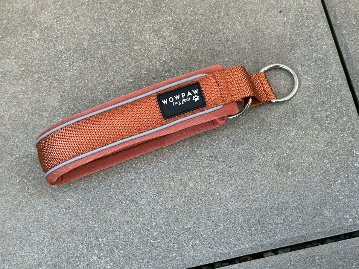 Zugstopp Hundehalsband Kupfer S