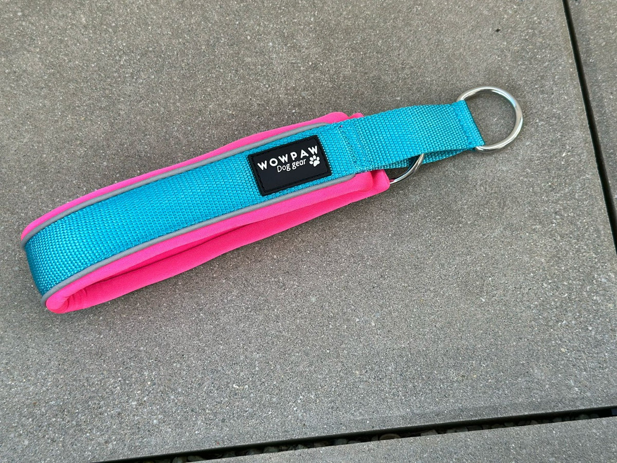 Zugstopp Hundehalsband Blau L