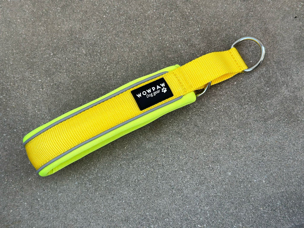 Zugstopp Hundehalsband Gelb M