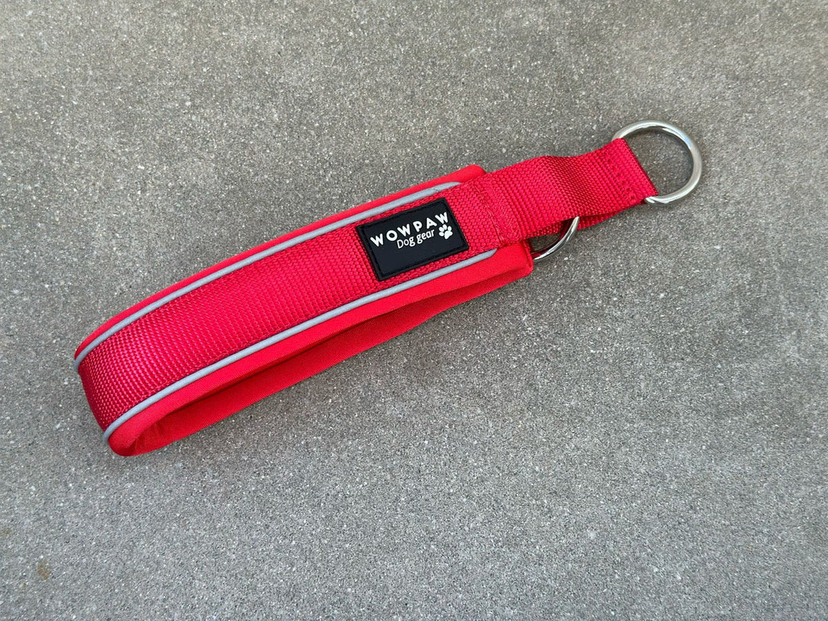Zugstopp Hundehalsband Rot XS