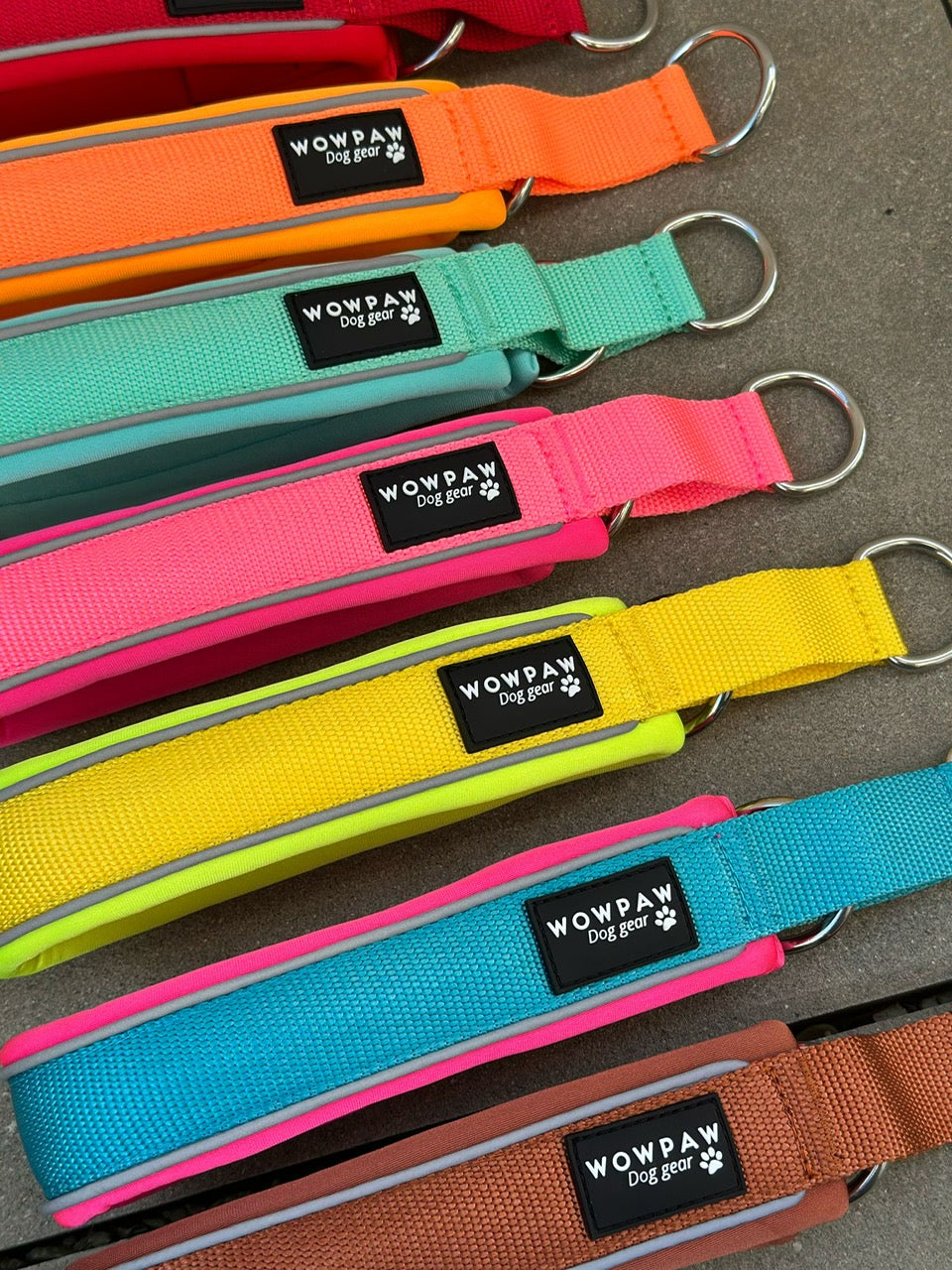 Zugstopp Hundehalsband Gelb M