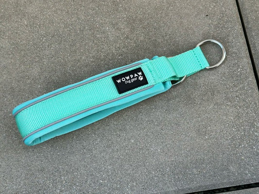 Zugstopp Hundehalsband Mint L