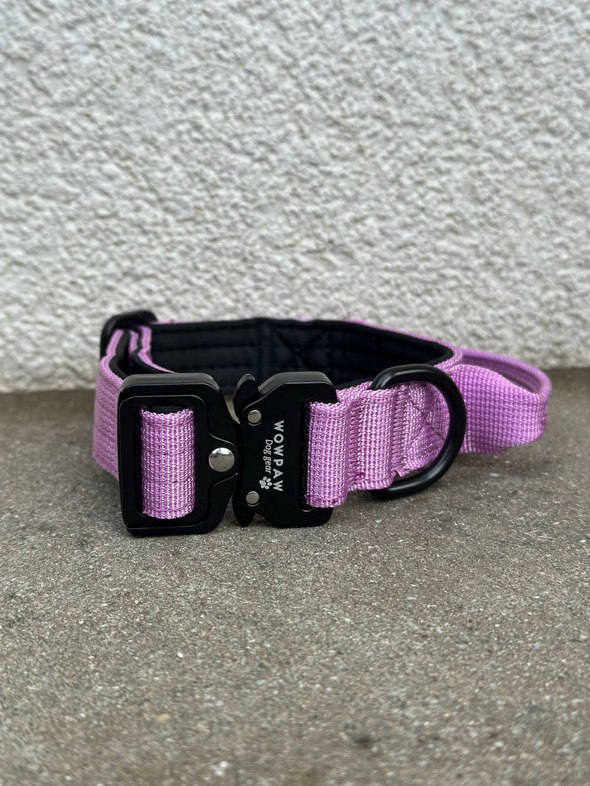 Collare tattico per cani di alta qualità XS 2,5cm lilla chiaro