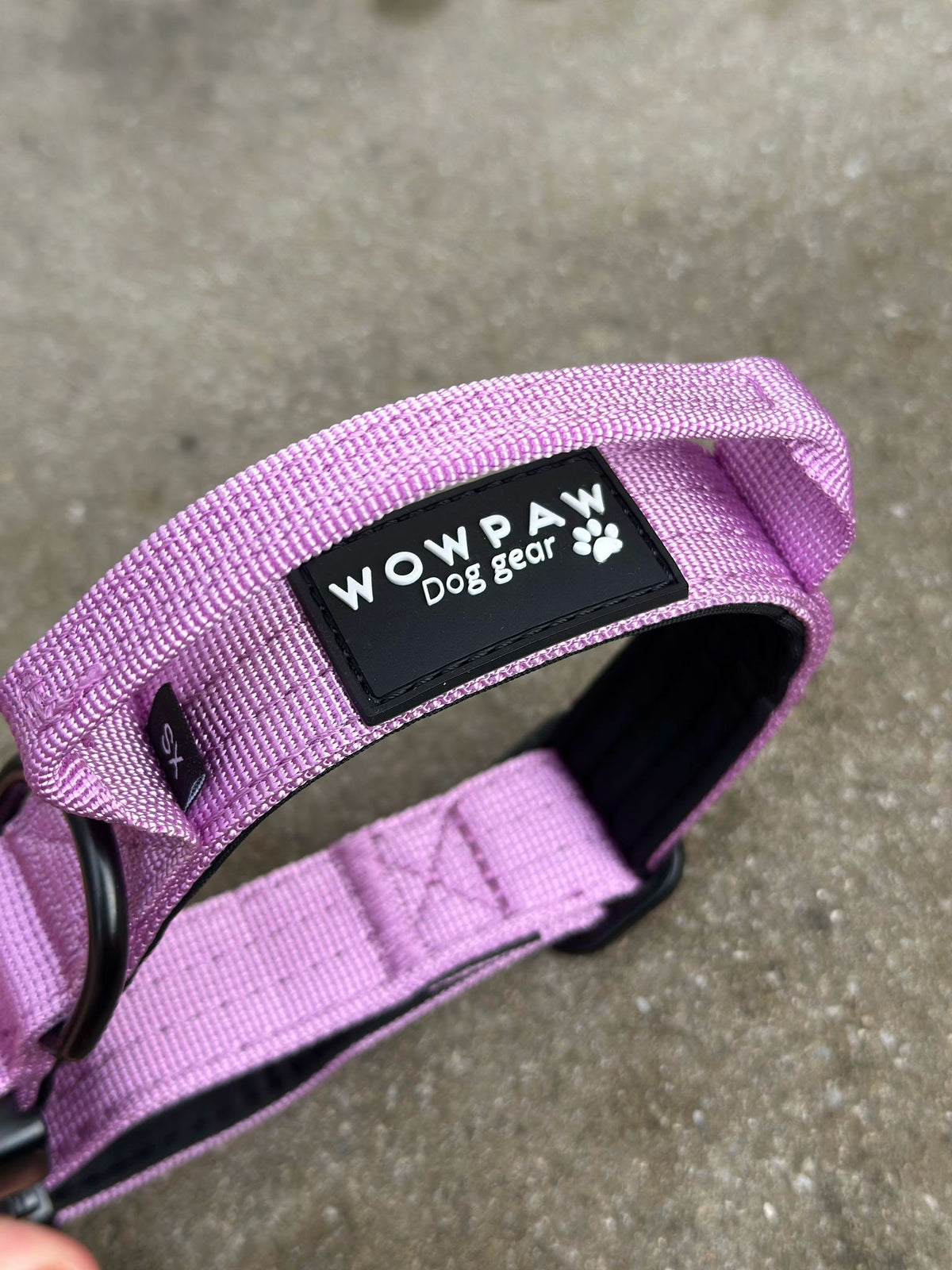 Collare tattico per cani di alta qualità XS 2,5cm lilla chiaro