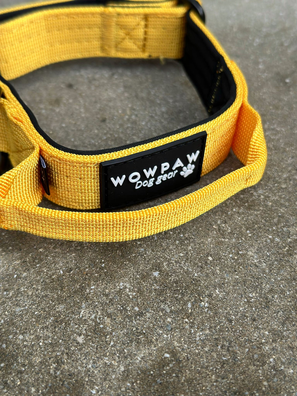 Collare tattico per cani di alta qualità XS 2,5cm giallo scuro